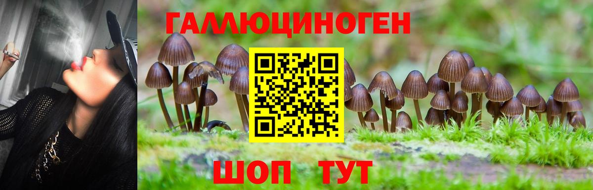 Владикавказ  Псилоцибиновые грибы Magic Shrooms  Галлюциногенные грибы мицелий  Вход с VPN 